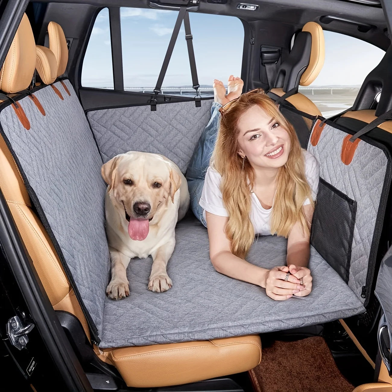 Travel Freely, Bond Deeply with Your Pet