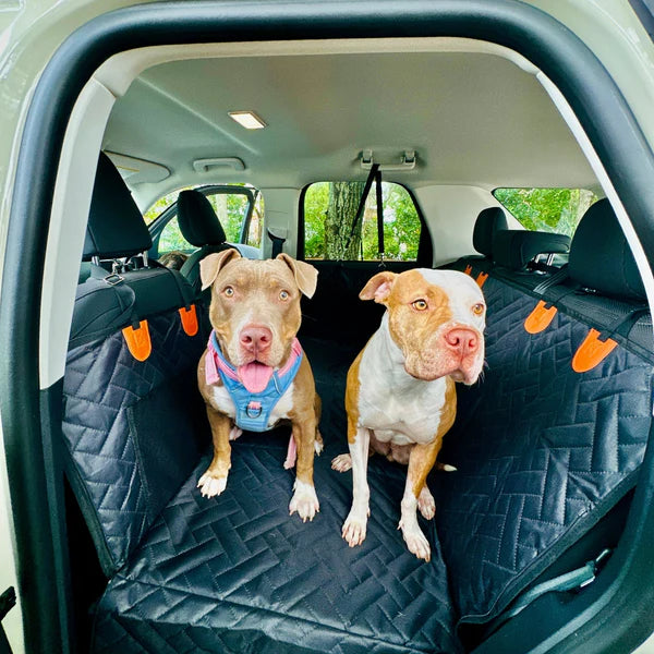 Car Mate™ - Hard Bottom Dog Seat Protector
