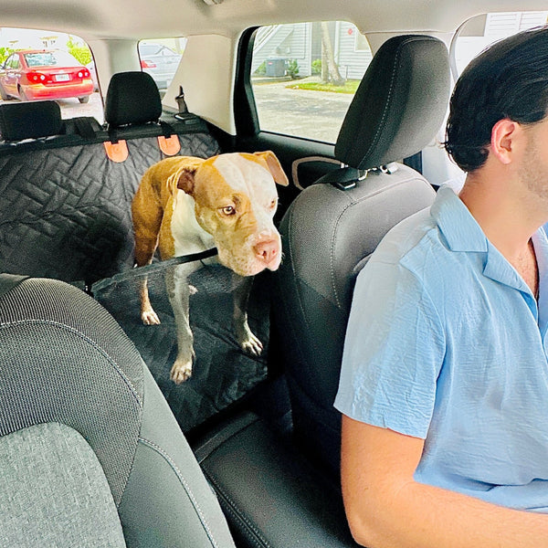 Car Mate™ - Hard Bottom Dog Seat Protector