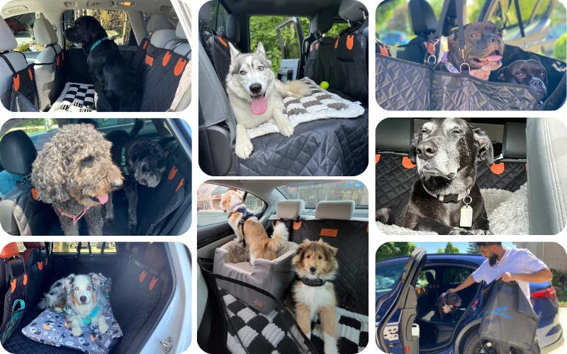 Car Mate™ - Hard Bottom Dog Seat Protector