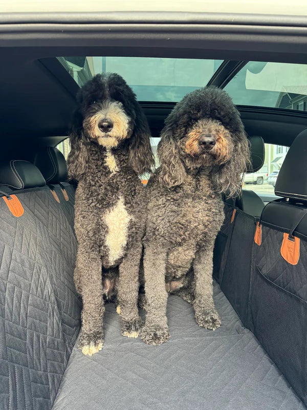 Car Mate™ - Hard Bottom Dog Seat Protector